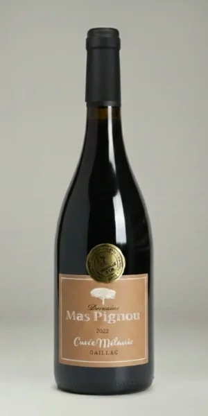 Domaine Mas Pignou - AOP Gaillac Rouge - Cuvée Mélanie