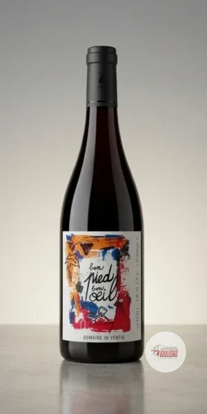 Domaine In Ventis - Bon pied Bon oeil - IGP Comté Tolosan Rouge
